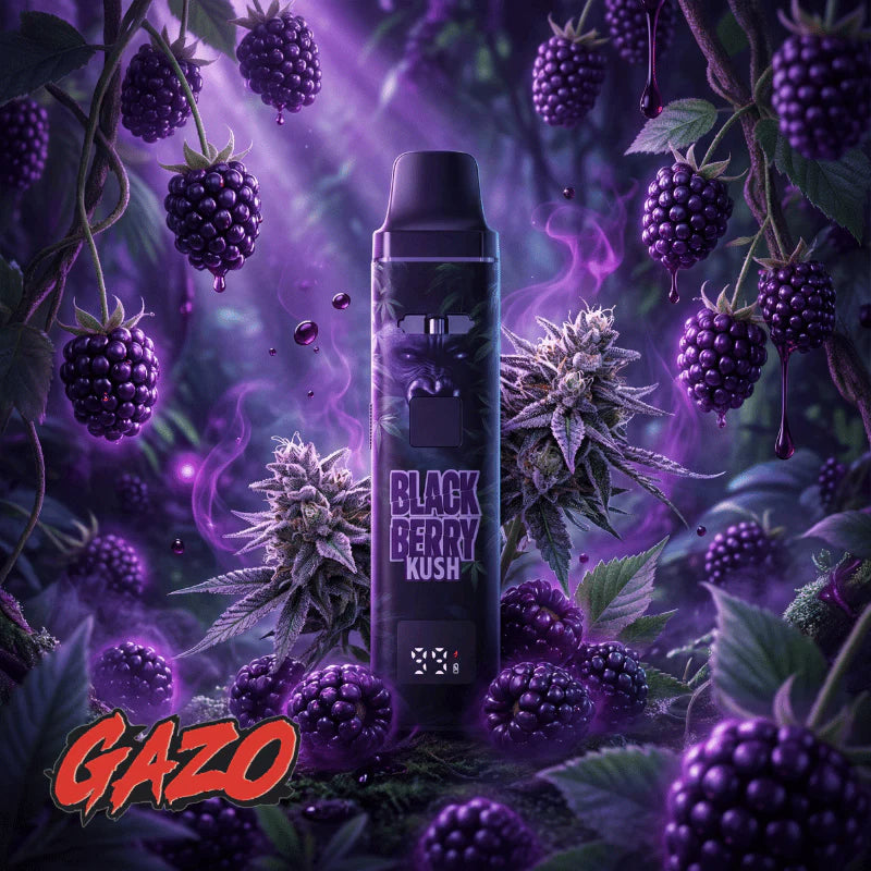 GAZO VAPE – H3BTA Black Berry – 1ml CRD
