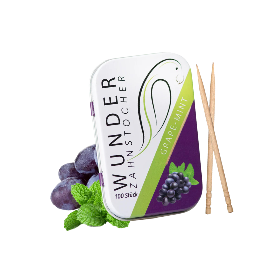 Wunder Zahnstocher - Metalldose